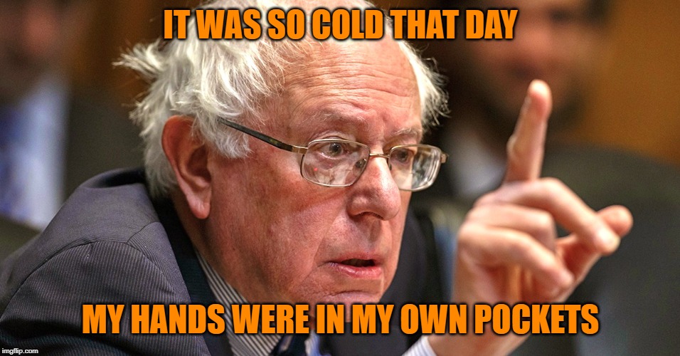 bernie sanders | IT WAS SO COLD THAT DAY MY HANDS WERE IN MY OWN POCKETS | image tagged in bernie sanders | made w/ Imgflip meme maker