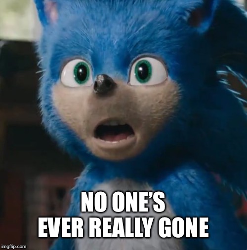 Sonic Movie | NO ONE’S EVER REALLY GONE | image tagged in sonic movie,memes | made w/ Imgflip meme maker