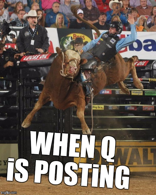 #WWG1WGAWW | WHEN Q iS POSTiNG | image tagged in qanon,the great awakening,rodeo,light,real life,x x everywhere | made w/ Imgflip meme maker