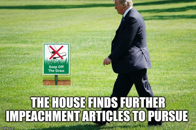 THE HOUSE FINDS FURTHER IMPEACHMENT ARTICLES TO PURSUE | image tagged in politics | made w/ Imgflip meme maker