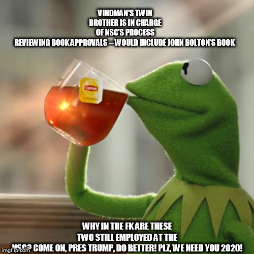 But That's None Of My Business Meme | VINDMAN'S TWIN BROTHER IS IN CHARGE OF NSC'S PROCESS REVIEWING BOOK APPROVALS -- WOULD INCLUDE JOHN BOLTON'S BOOK; WHY IN THE FK ARE THESE TWO STILL EMPLOYED AT THE NSC? COME ON, PRES TRUMP, DO BETTER! PLZ, WE NEED YOU 2020! | image tagged in memes,but thats none of my business,kermit the frog | made w/ Imgflip meme maker