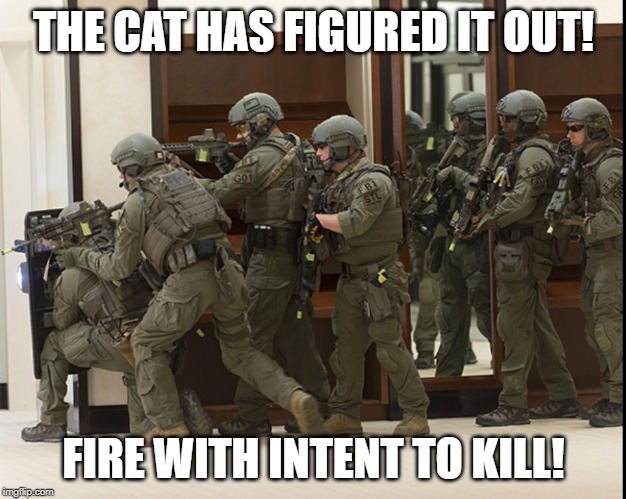 FBI SWAT | THE CAT HAS FIGURED IT OUT! FIRE WITH INTENT TO KILL! | image tagged in fbi swat | made w/ Imgflip meme maker