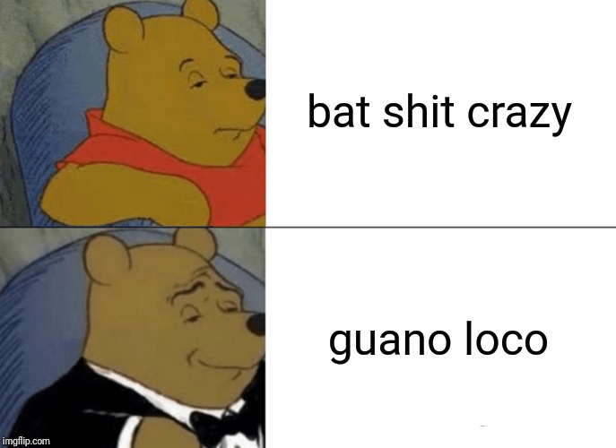 Thank you, Jeremy! | bat shit crazy; guano loco | image tagged in memes,tuxedo winnie the pooh,cinemasins | made w/ Imgflip meme maker