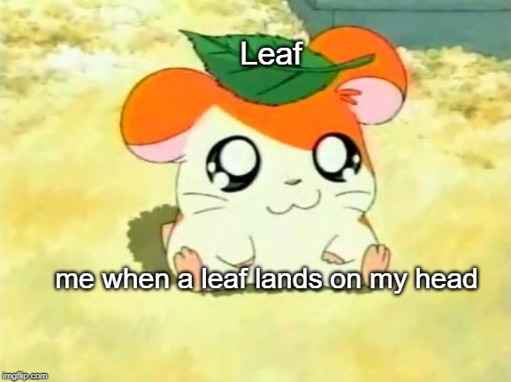 Hamtaro | Leaf; me when a leaf lands on my head | image tagged in memes,hamtaro | made w/ Imgflip meme maker
