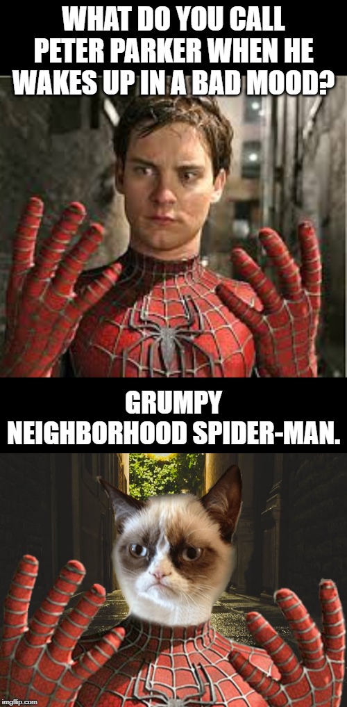 Neighborhood Spider man | WHAT DO YOU CALL PETER PARKER WHEN HE WAKES UP IN A BAD MOOD? GRUMPY NEIGHBORHOOD SPIDER-MAN. | image tagged in funny | made w/ Imgflip meme maker
