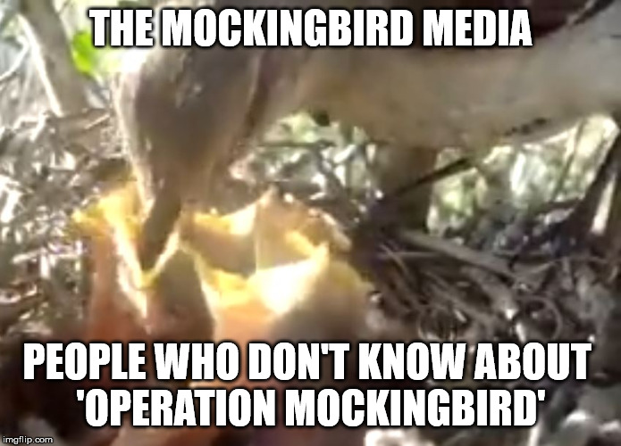 The Mockingbird Media | THE MOCKINGBIRD MEDIA; PEOPLE WHO DON'T KNOW ABOUT 
'OPERATION MOCKINGBIRD' | image tagged in operation mockingbird,media | made w/ Imgflip meme maker