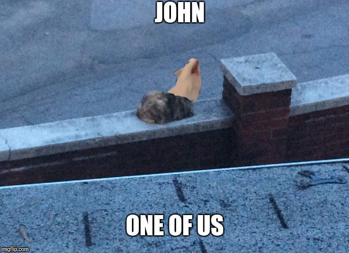 cat stalker | JOHN ONE OF US | image tagged in cat stalker | made w/ Imgflip meme maker