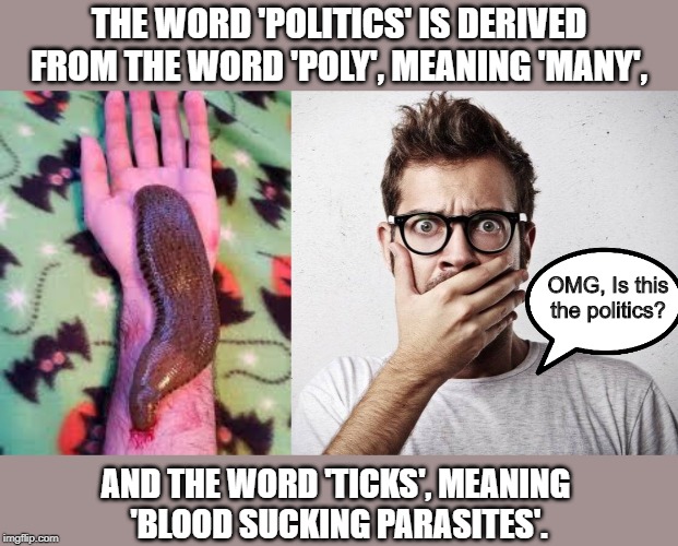 Meaning of politics | THE WORD 'POLITICS' IS DERIVED FROM THE WORD 'POLY', MEANING 'MANY', OMG, Is this the politics? AND THE WORD 'TICKS', MEANING 
'BLOOD SUCKING PARASITES'. | image tagged in political meme | made w/ Imgflip meme maker