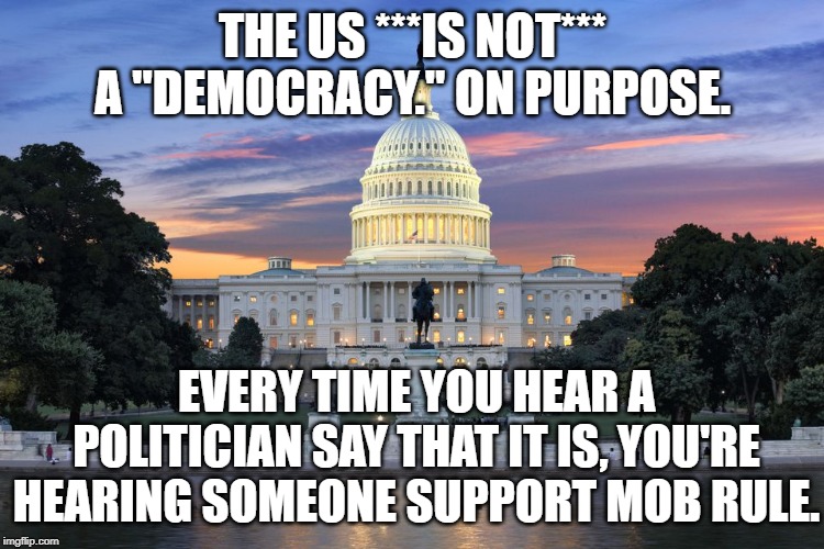 Washington DC swamp | THE US ***IS NOT*** A "DEMOCRACY." ON PURPOSE. EVERY TIME YOU HEAR A POLITICIAN SAY THAT IT IS, YOU'RE HEARING SOMEONE SUPPORT MOB RULE. | image tagged in washington dc swamp | made w/ Imgflip meme maker