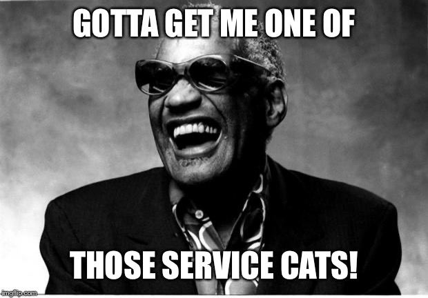 Ray Charles | GOTTA GET ME ONE OF THOSE SERVICE CATS! | image tagged in ray charles | made w/ Imgflip meme maker