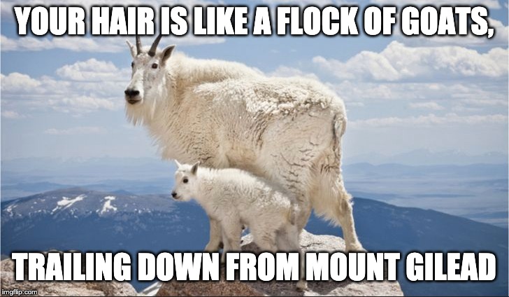 YOUR HAIR IS LIKE A FLOCK OF GOATS, TRAILING DOWN FROM MOUNT GILEAD | made w/ Imgflip meme maker