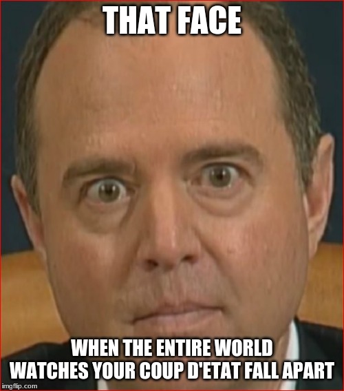 Unpopular in life, soon to be popular in prison | THAT FACE; WHEN THE ENTIRE WORLD WATCHES YOUR COUP D'ETAT FALL APART | image tagged in adam schiff,traitor,coup d'etat,impeachment scam,proven failure,criminal | made w/ Imgflip meme maker