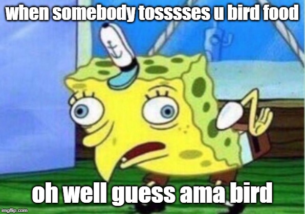 Mocking Spongebob Meme | when somebody tosssses u bird food; oh well guess ama bird | image tagged in memes,mocking spongebob | made w/ Imgflip meme maker