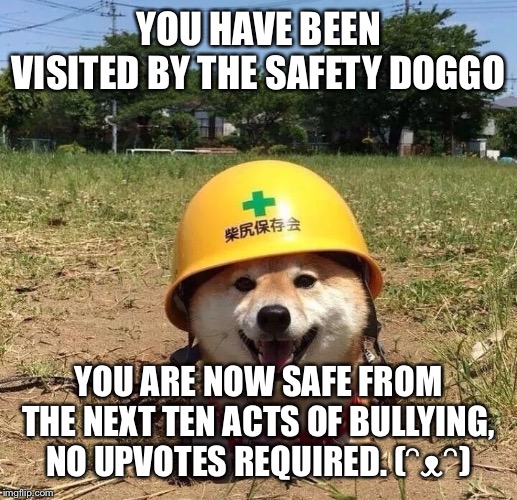 Safety doggo | YOU HAVE BEEN VISITED BY THE SAFETY DOGGO; YOU ARE NOW SAFE FROM THE NEXT TEN ACTS OF BULLYING, NO UPVOTES REQUIRED. (ᵔᴥᵔ) | image tagged in safety doggo | made w/ Imgflip meme maker