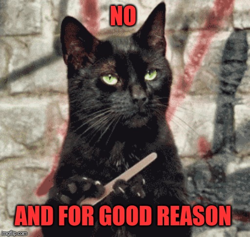 NO AND FOR GOOD REASON | made w/ Imgflip meme maker