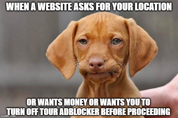 No. I Will Not Do That | WHEN A WEBSITE ASKS FOR YOUR LOCATION; OR WANTS MONEY OR WANTS YOU TO TURN OFF TOUR ADBLOCKER BEFORE PROCEEDING | image tagged in dissapointed puppy,memes,hey internet | made w/ Imgflip meme maker