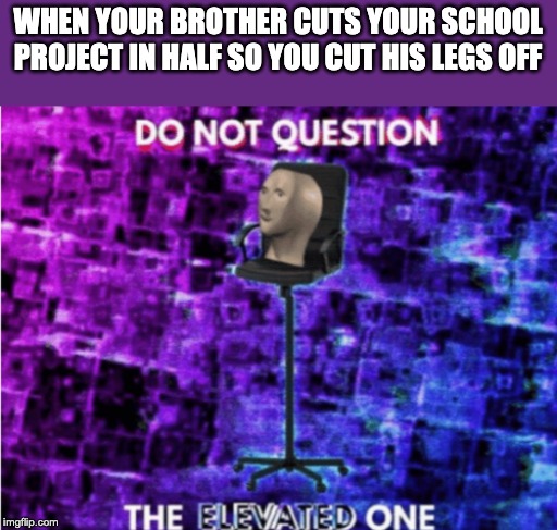 Do not question the elevated one | WHEN YOUR BROTHER CUTS YOUR SCHOOL PROJECT IN HALF SO YOU CUT HIS LEGS OFF | image tagged in do not question the elevated one | made w/ Imgflip meme maker