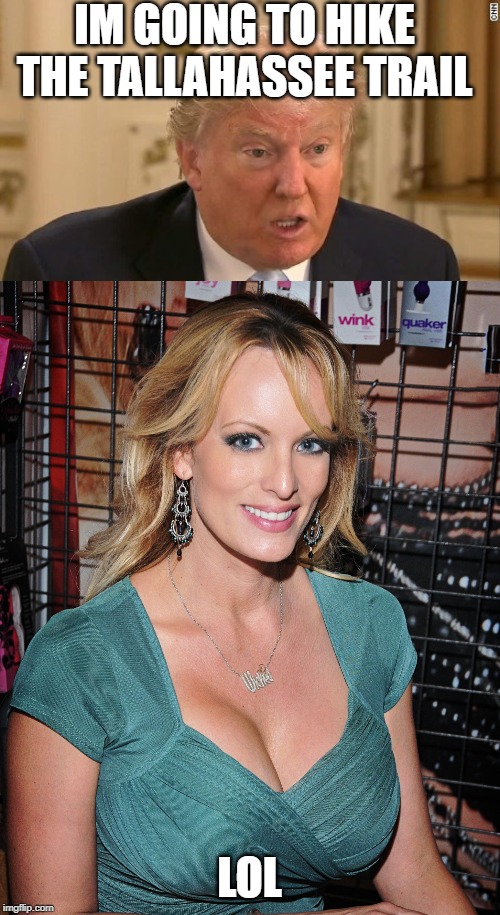 IM GOING TO HIKE THE TALLAHASSEE TRAIL; LOL | image tagged in trump stupid face,stormy daniels | made w/ Imgflip meme maker
