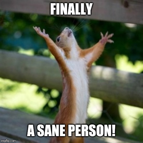 YASS | FINALLY A SANE PERSON! | image tagged in yass | made w/ Imgflip meme maker