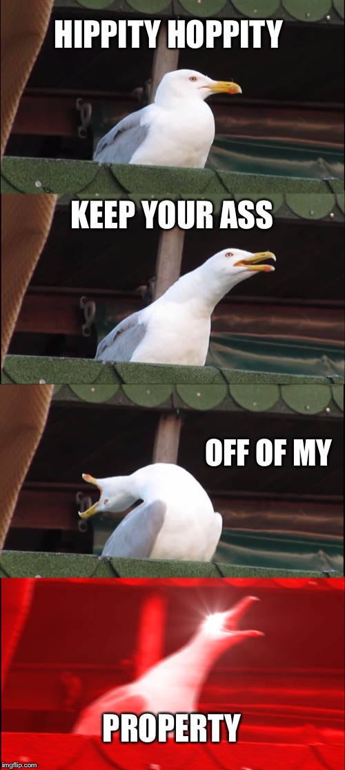 Inhaling Seagull Meme | HIPPITY HOPPITY; KEEP YOUR ASS; OFF OF MY; PROPERTY | image tagged in memes,inhaling seagull | made w/ Imgflip meme maker
