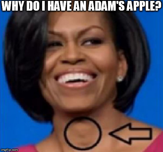 WTF? | WHY DO I HAVE AN ADAM'S APPLE? | image tagged in michelle obama,is,a,man,gross adams apple on a guy | made w/ Imgflip meme maker
