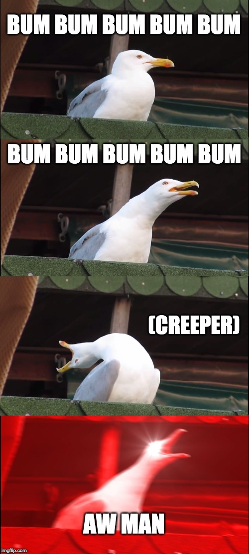 Inhaling Seagull Meme | BUM BUM BUM BUM BUM; BUM BUM BUM BUM BUM; (CREEPER); AW MAN | image tagged in memes,inhaling seagull | made w/ Imgflip meme maker