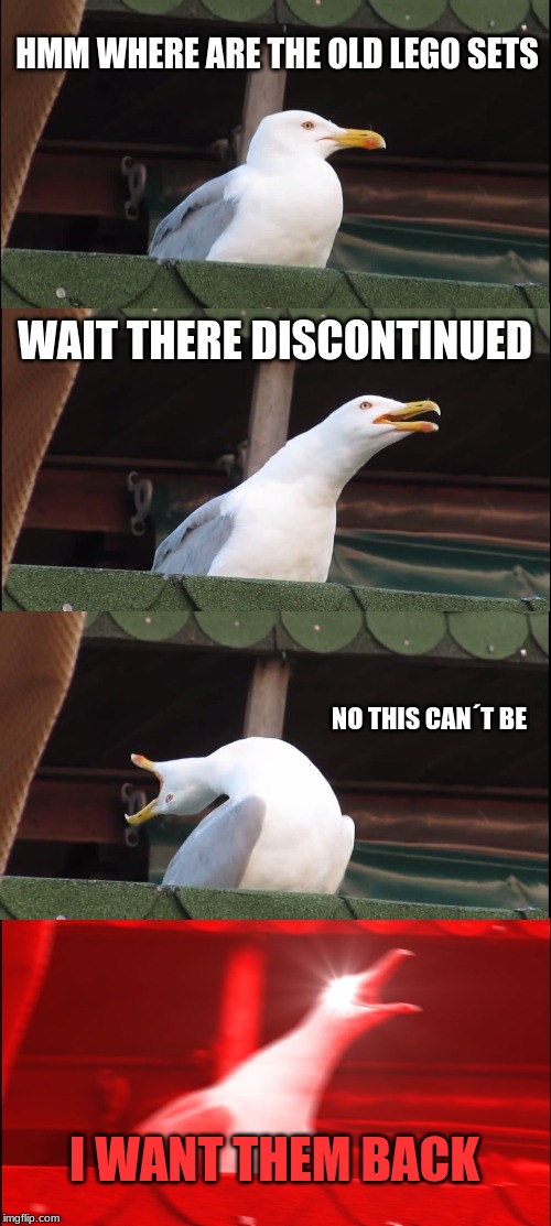 When Lego sets discontinued | HMM WHERE ARE THE OLD LEGO SETS; WAIT THERE DISCONTINUED; NO THIS CAN´T BE; I WANT THEM BACK | image tagged in memes,inhaling seagull,lego | made w/ Imgflip meme maker