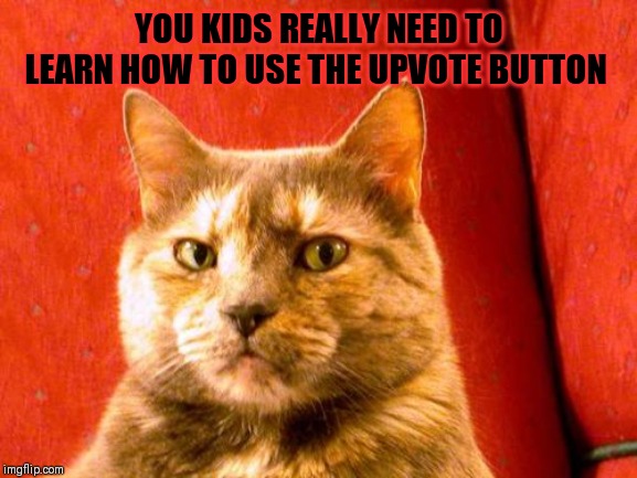 Suspicious Cat Meme | YOU KIDS REALLY NEED TO LEARN HOW TO USE THE UPVOTE BUTTON | image tagged in memes,suspicious cat | made w/ Imgflip meme maker