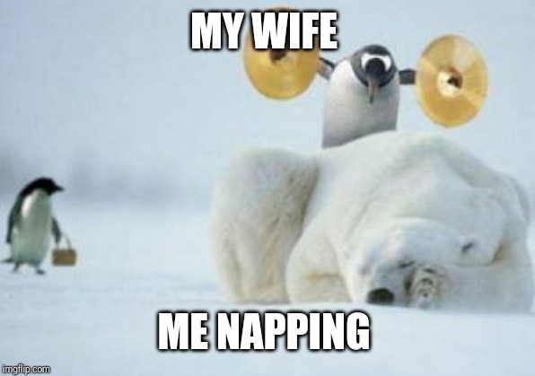 She's the noisiest person on earth | MY WIFE; ME NAPPING | image tagged in penguin with cymbals,wife | made w/ Imgflip meme maker