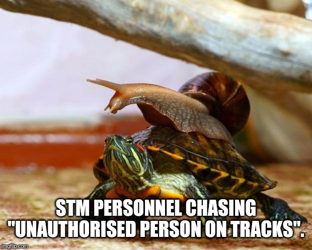 snail on a turtle | STM PERSONNEL CHASING "UNAUTHORISED PERSON ON TRACKS". | image tagged in snail on a turtle | made w/ Imgflip meme maker