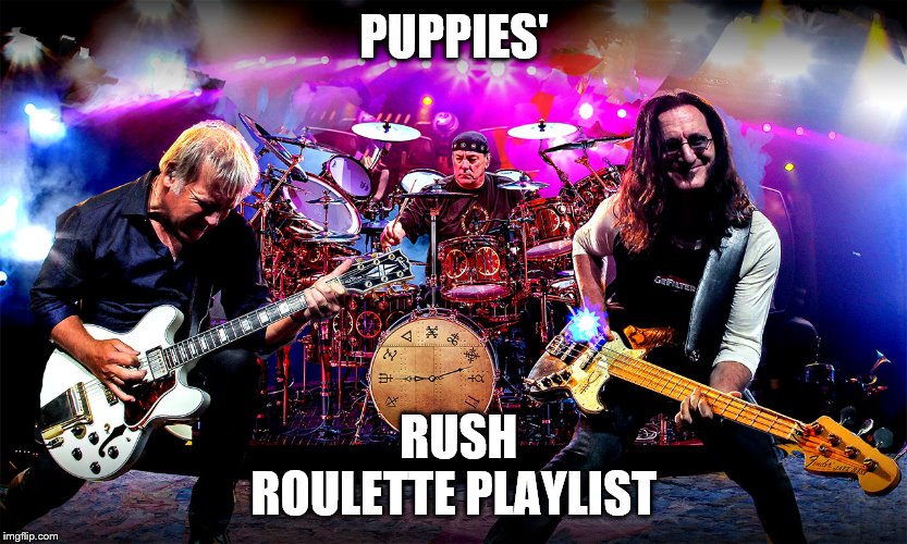 Rush | PUPPIES'; RUSH ROULETTE PLAYLIST | image tagged in rush | made w/ Imgflip meme maker