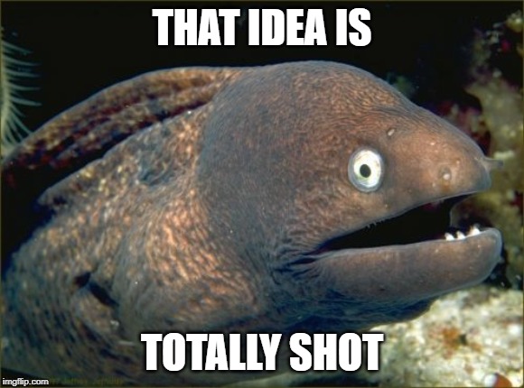 Bad Joke Eel Meme | THAT IDEA IS TOTALLY SHOT | image tagged in memes,bad joke eel | made w/ Imgflip meme maker