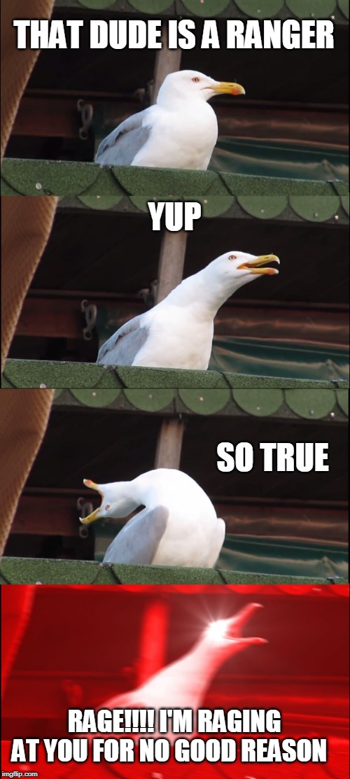 Inhaling Seagull Meme | THAT DUDE IS A RANGER; YUP; SO TRUE; RAGE!!!! I'M RAGING AT YOU FOR NO GOOD REASON | image tagged in memes,inhaling seagull | made w/ Imgflip meme maker