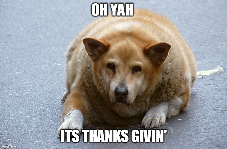 OH YAH; ITS THANKS GIVIN' | image tagged in thanksgiving | made w/ Imgflip meme maker