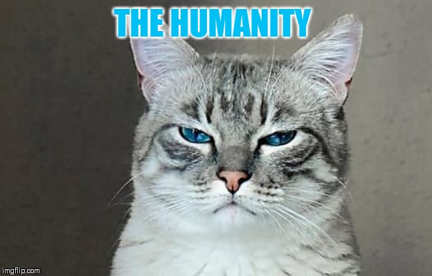 THE HUMANITY | made w/ Imgflip meme maker