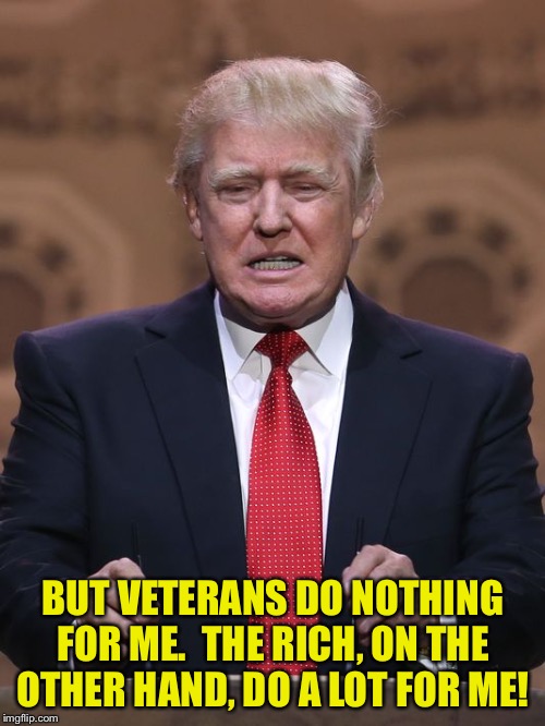 Donald Trump | BUT VETERANS DO NOTHING FOR ME.  THE RICH, ON THE OTHER HAND, DO A LOT FOR ME! | image tagged in donald trump | made w/ Imgflip meme maker
