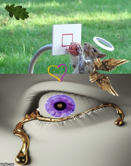 Seraph | image tagged in seraph | made w/ Imgflip meme maker