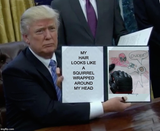 Random Trump Meme | MY HAIR LOOKS LIKE A SQUIRREL WRAPPED AROUND MY HEAD | image tagged in memes,trump bill signing,deadpool,donald trump,funny memes,epic | made w/ Imgflip meme maker