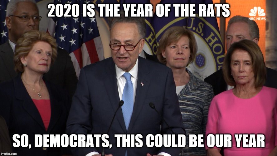 Democrat congressmen | 2020 IS THE YEAR OF THE RATS; SO, DEMOCRATS, THIS COULD BE OUR YEAR | image tagged in democrat congressmen | made w/ Imgflip meme maker