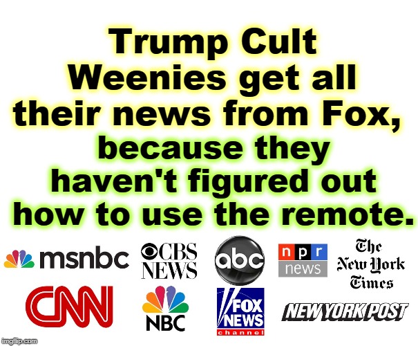 MSM | because they haven't figured out how to use the remote. Trump Cult Weenies get all their news from Fox, | image tagged in msm,trump,cult,fox news,tv,remote control | made w/ Imgflip meme maker