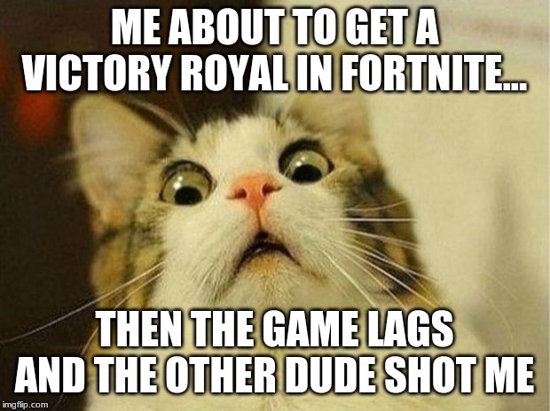 Scared Cat | ME ABOUT TO GET A VICTORY ROYAL IN FORTNITE... THEN THE GAME LAGS AND THE OTHER DUDE SHOT ME | image tagged in memes,scared cat | made w/ Imgflip meme maker