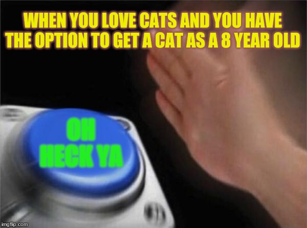 Blank Nut Button Meme | WHEN YOU LOVE CATS AND YOU HAVE THE OPTION TO GET A CAT AS A 8 YEAR OLD; OH HECK YA | image tagged in memes,blank nut button | made w/ Imgflip meme maker