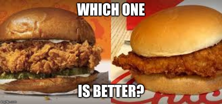 popeyes vs. chickfila |  WHICH ONE; IS BETTER? | image tagged in sandwich | made w/ Imgflip meme maker