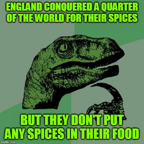 Philosoraptor | ENGLAND CONQUERED A QUARTER OF THE WORLD FOR THEIR SPICES; BUT THEY DON'T PUT ANY SPICES IN THEIR FOOD | image tagged in memes,philosoraptor | made w/ Imgflip meme maker