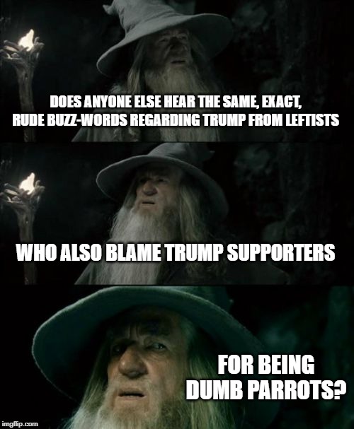 Confused Gandalf Meme | DOES ANYONE ELSE HEAR THE SAME, EXACT, RUDE BUZZ-WORDS REGARDING TRUMP FROM LEFTISTS; WHO ALSO BLAME TRUMP SUPPORTERS; FOR BEING DUMB PARROTS? | image tagged in memes,confused gandalf | made w/ Imgflip meme maker