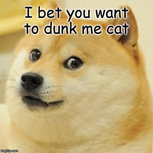 Doge Meme | I bet you want to dunk me cat | image tagged in memes,doge | made w/ Imgflip meme maker