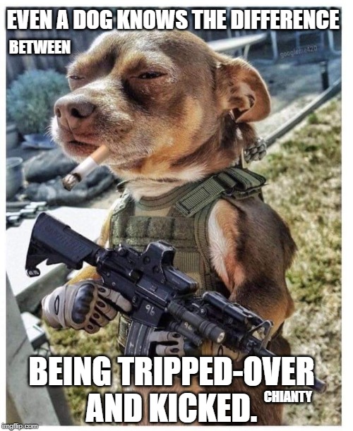 Dog knows | EVEN A DOG KNOWS THE DIFFERENCE; BETWEEN; CHIANTY; BEING TRIPPED-OVER AND KICKED. | image tagged in know the difference | made w/ Imgflip meme maker