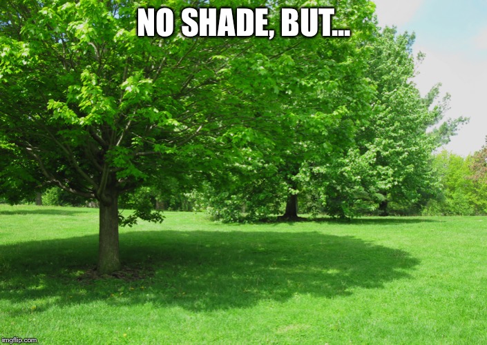 No shade, but... | NO SHADE, BUT... | image tagged in no shade,funny,funny memes,funny meme | made w/ Imgflip meme maker