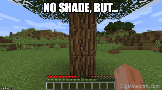 No shade, but... | NO SHADE, BUT... | image tagged in minecraft,no shade,funny | made w/ Imgflip meme maker