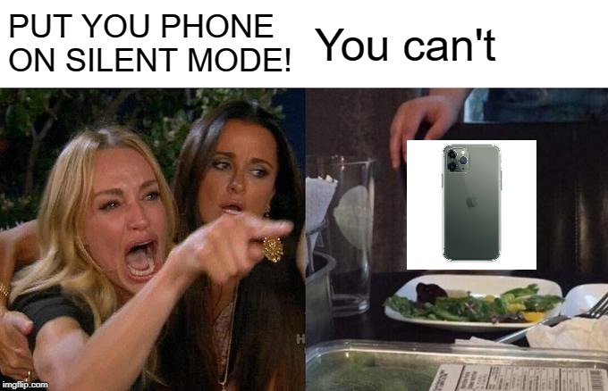 Woman Yelling At Cat Meme | PUT YOU PHONE ON SILENT MODE! You can't | image tagged in memes,woman yelling at cat | made w/ Imgflip meme maker